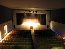 Entradas en Teatro Flumen Entradas en Teatro Flumen