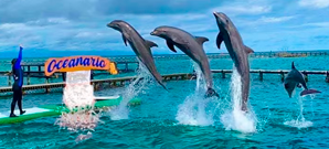 Un da de aventura explorando Bar, Islas y Oceanario