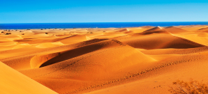 Vuelo+Hotel a Gran Canaria