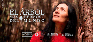 El rbol Ms Hermoso del Mundo
