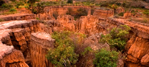 Tour al desierto de Checua