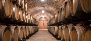 Visitas a bodegas