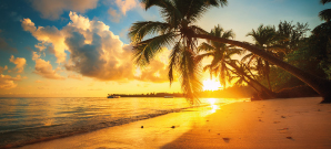 Vuelo + hotel a Punta cana