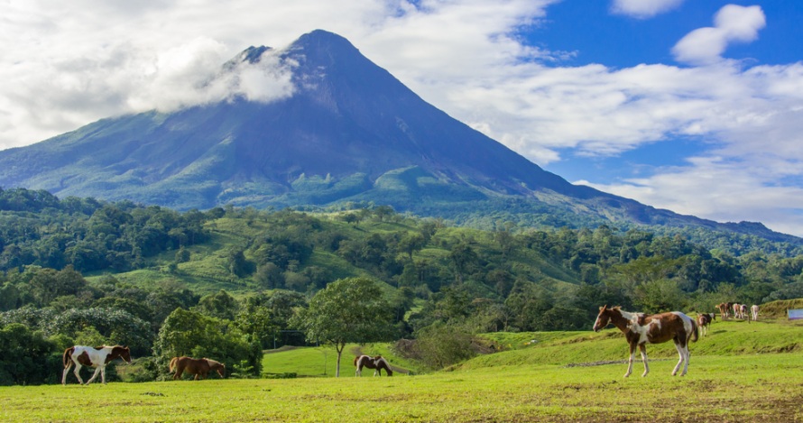 Categora Deluxe con Tamarindo