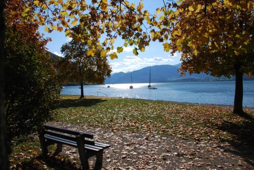 Imagen 2 de 3