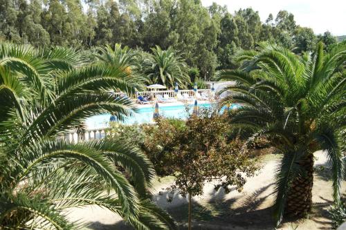 Imagen 3 de 12