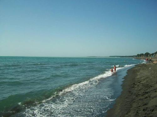 Imagen 5 de 95