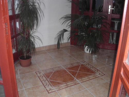 Imagen 2 de 44