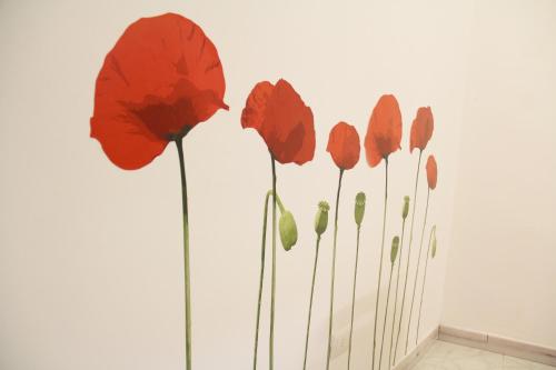 Imagen 4 de 51
