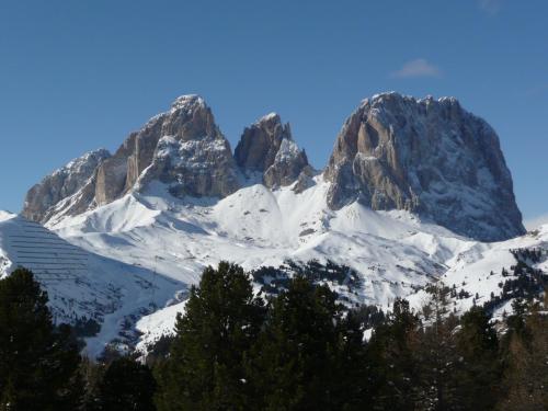 Imagen 1 de 39