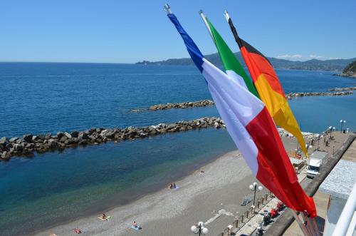 Imagen 3 de 13