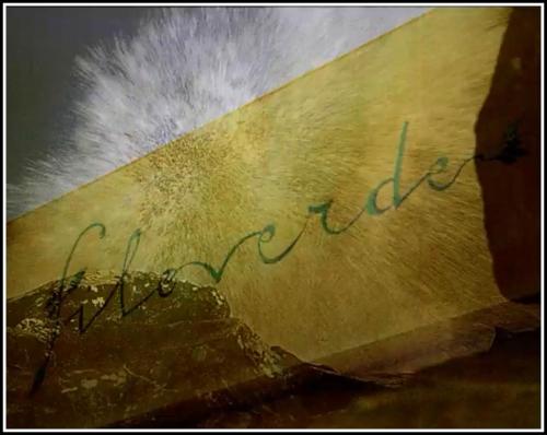 Imagen 2 de 54