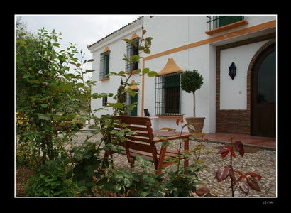 Imagen 3 de 4