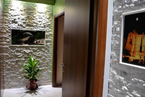Imagen 3 de 11