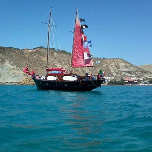 Imagen 1 de 31