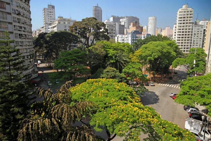 Imagen 2 de 7