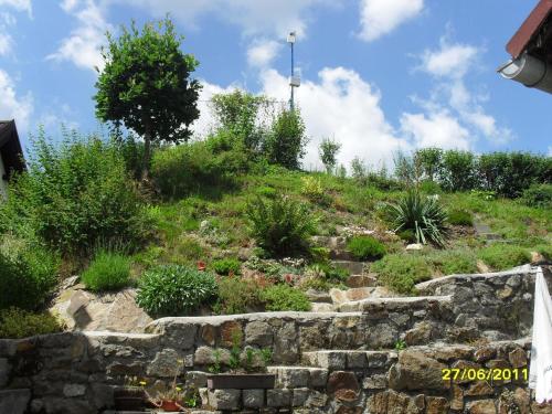Imagen 3 de 22