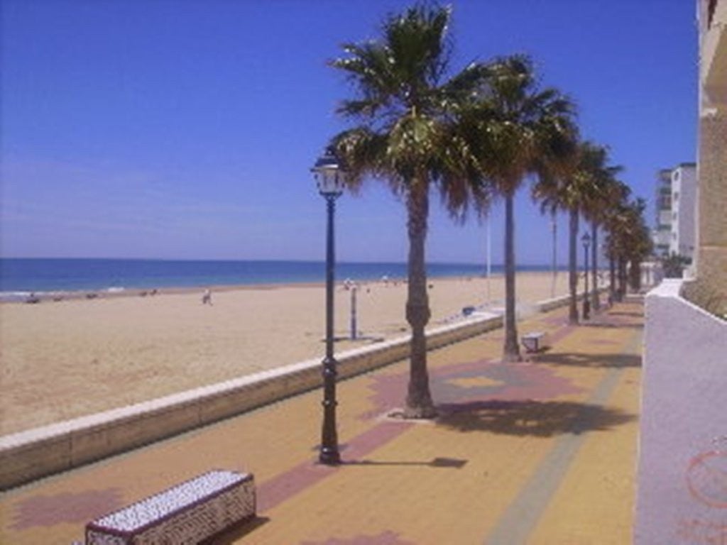 Imagen 3 de 19