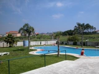 Imagen 3 de 13