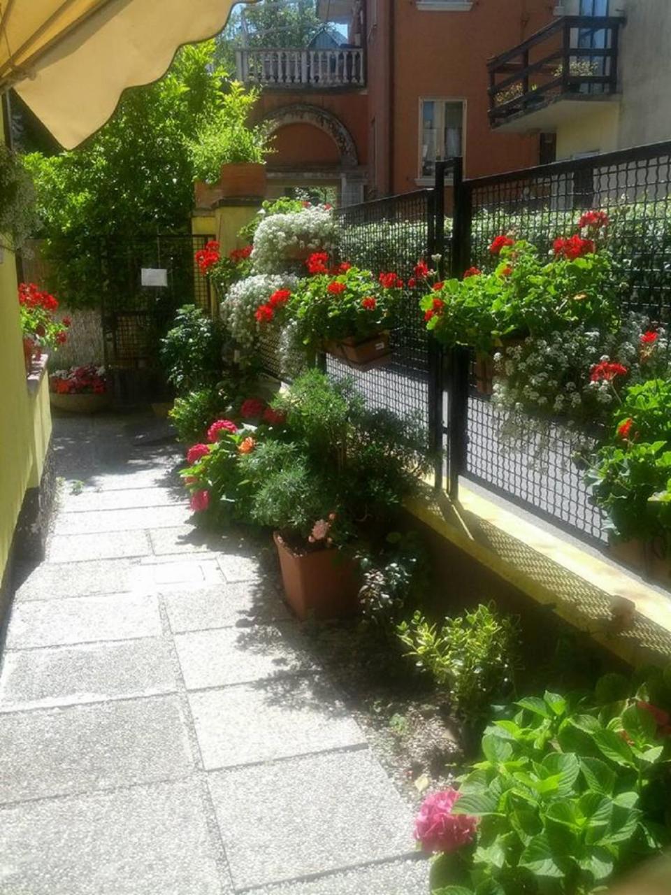 Imagen 3 de 37