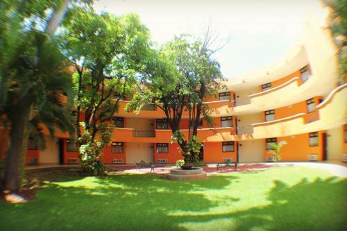 Imagen 5 de 11