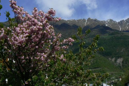 Imagen 3 de 18