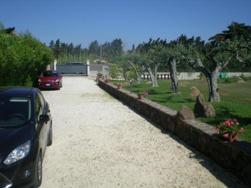 Imagen 4 de 39