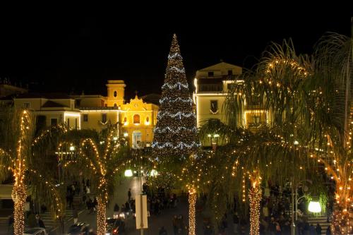 Imagen 5 de 67