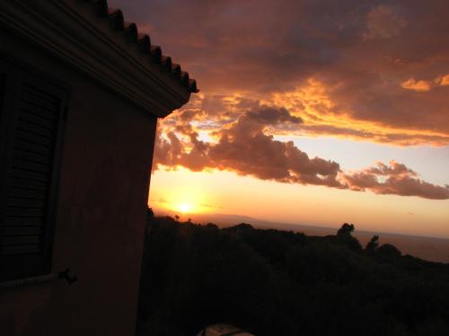 Imagen 3 de 60