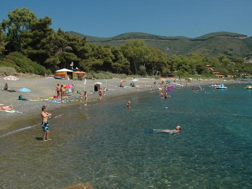 Imagen 2 de 11