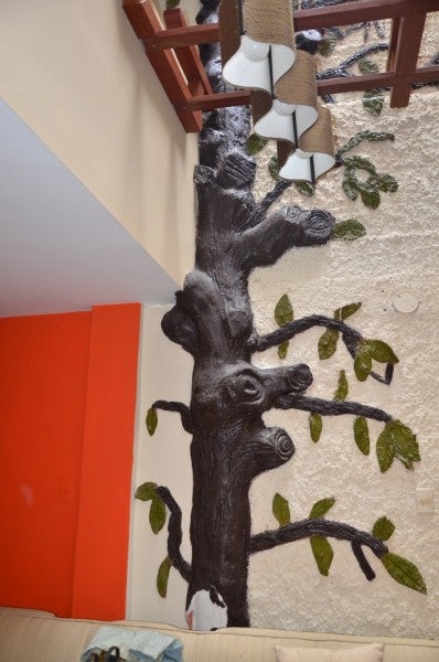 Imagen 4 de 11