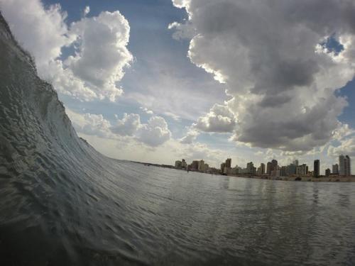 Imagen 3 de 25