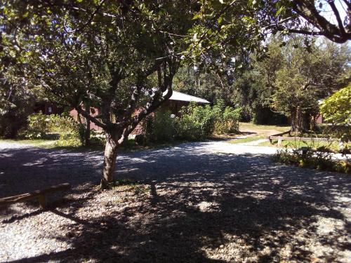 Imagen 1 de 26