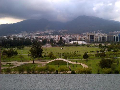 Imagen 3 de 31