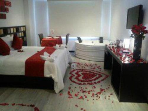 Imagen 4 de 22