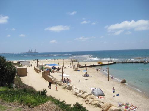 Imagen 2 de 5