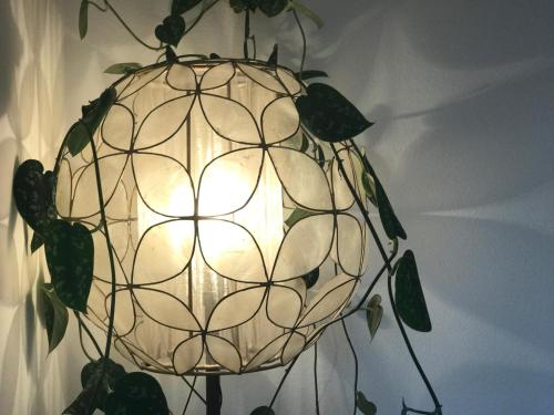 Imagen 3 de 62