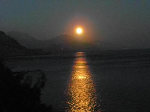 Imagen 4 de 34
