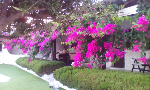Imagen 5 de 82
