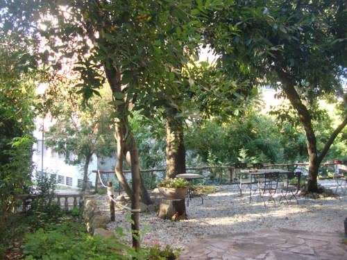Imagen 2 de 21