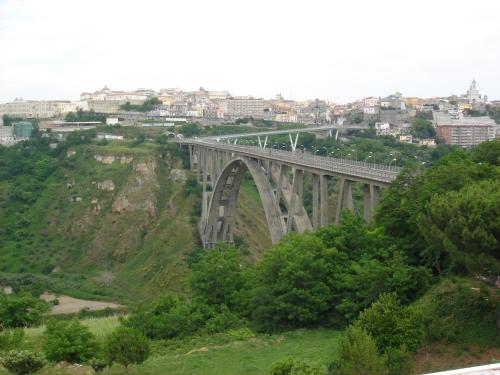 Imagen 4 de 40