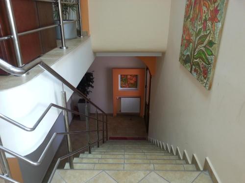 Imagen 4 de 27