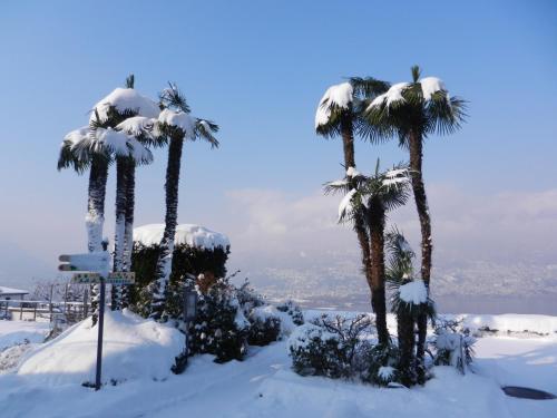 Imagen 3 de 24