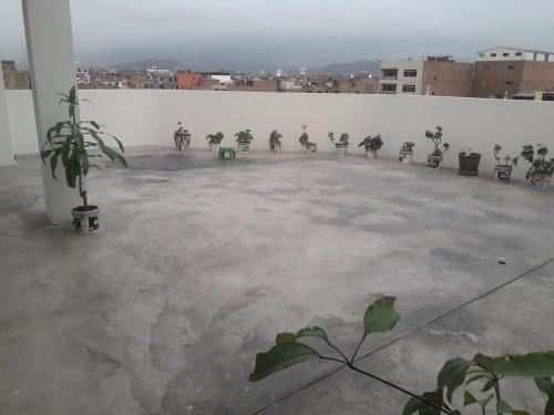Imagen 1 de 30
