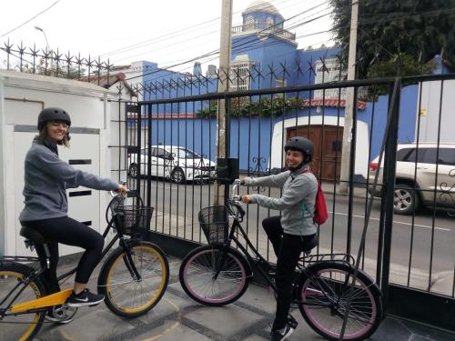 Imagen 3 de 42