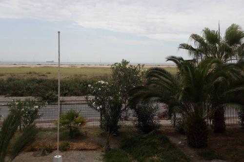 Imagen 4 de 6