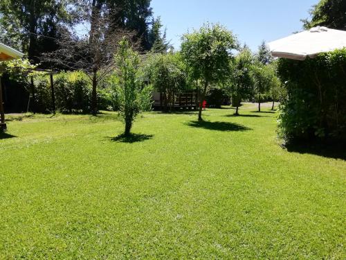 Imagen 2 de 24