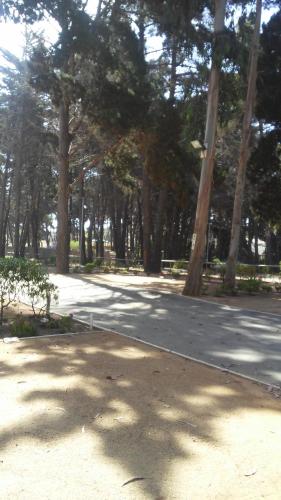 Imagen 3 de 15
