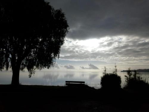 Imagen 5 de 19