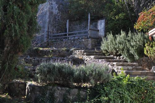 Imagen 4 de 19